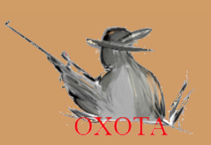 Оружейный Магазин Охота