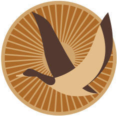 Vektor